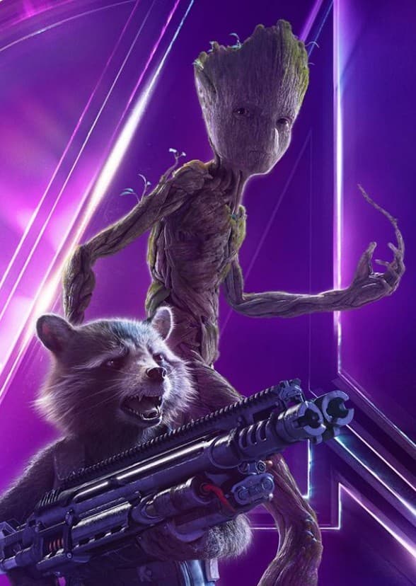Rocket Raccoon and Groot