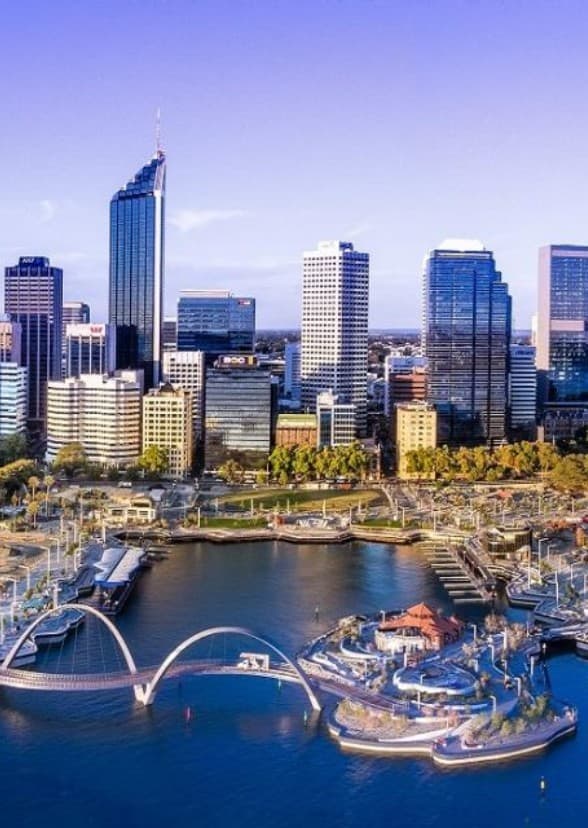 Jamie the Dalmatian Dog