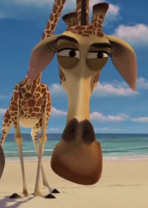 Melman and Gloria (Madagascar Spinoff)