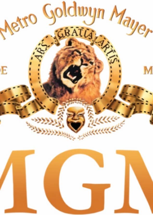 Dude, Steve the Turtle and Joke and Angry, Danny the Octopus