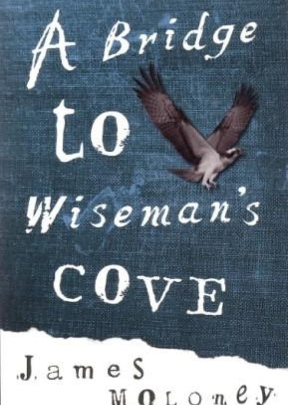 A Bridge to Wiseman's Cove