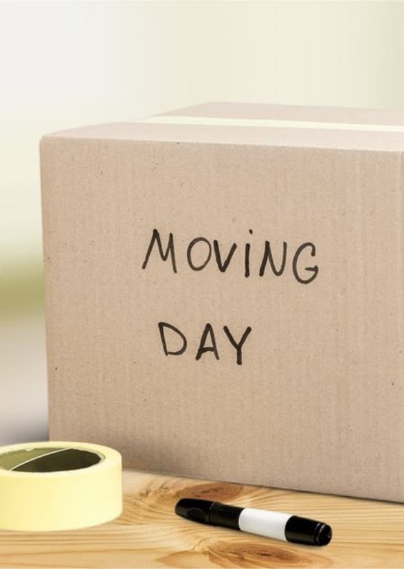 Moving Day
