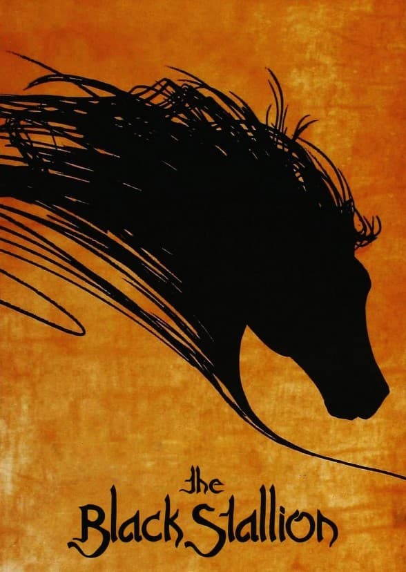 The Black Stallion