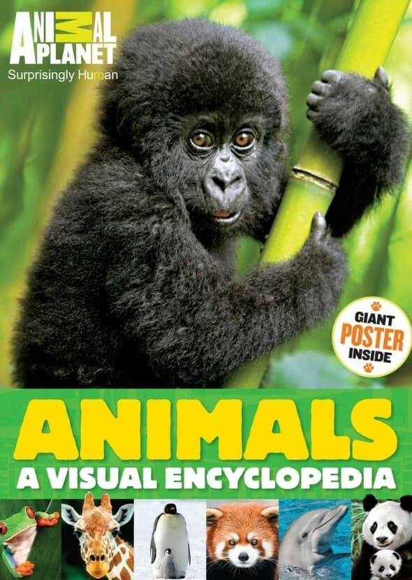 Animals: A Visual Encyclopedia 
