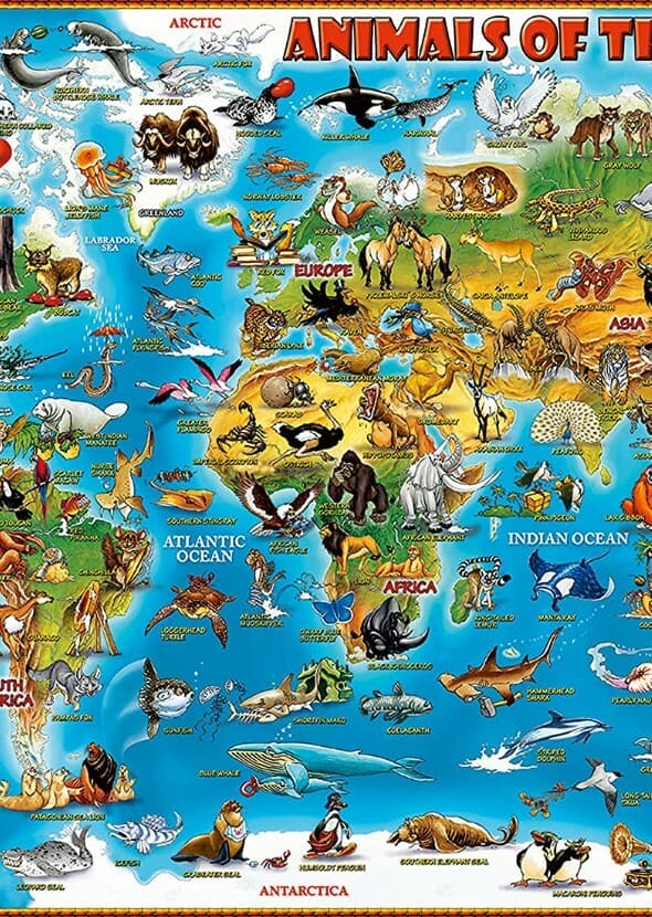 Animals of the World