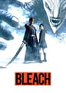Bleach retold