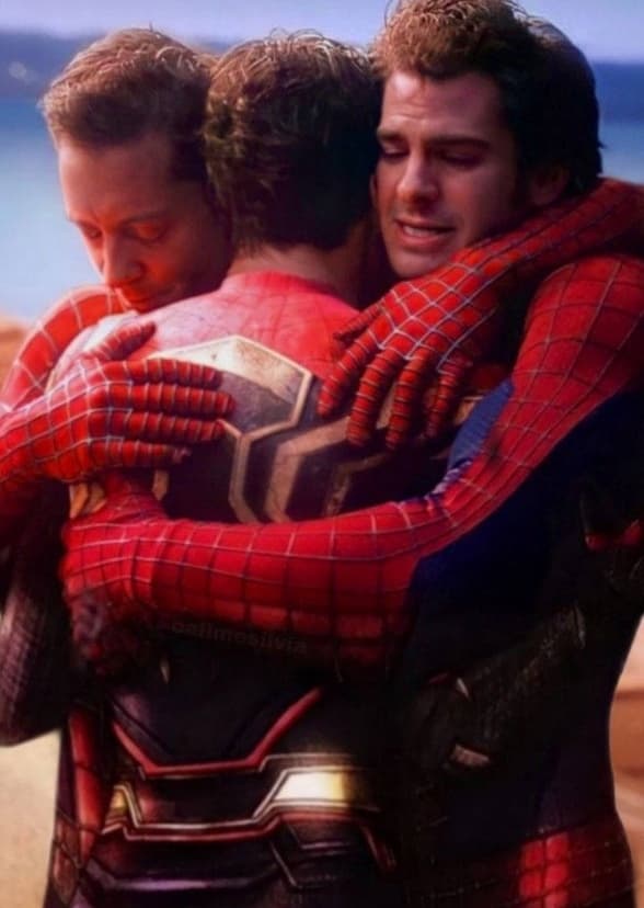 The Spider-Man Collection 