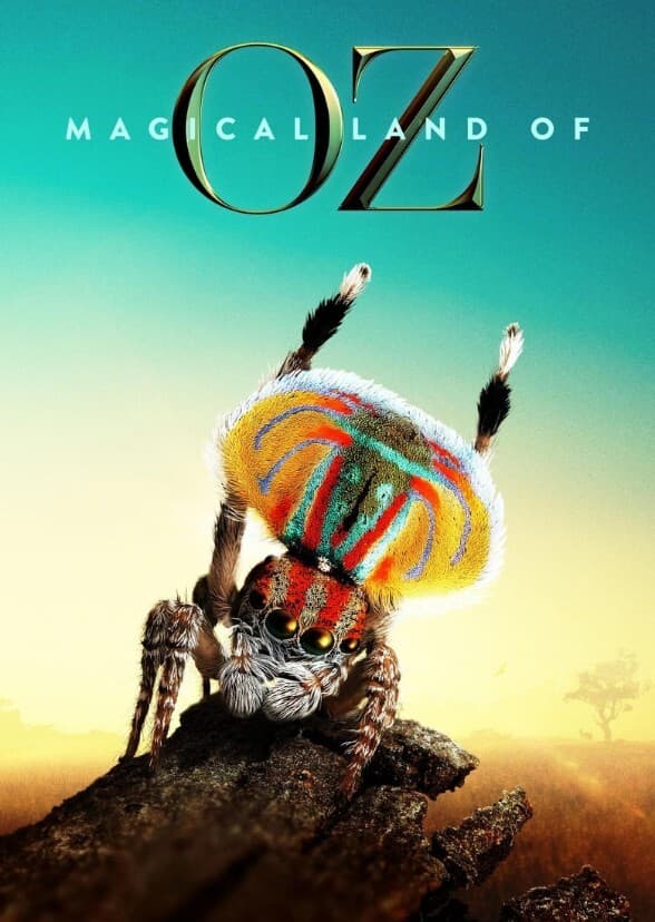 The wizard and his crew