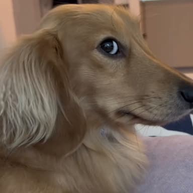 Alaya bailey Forever