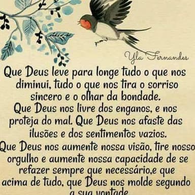 Edilton Barbossa da Silva