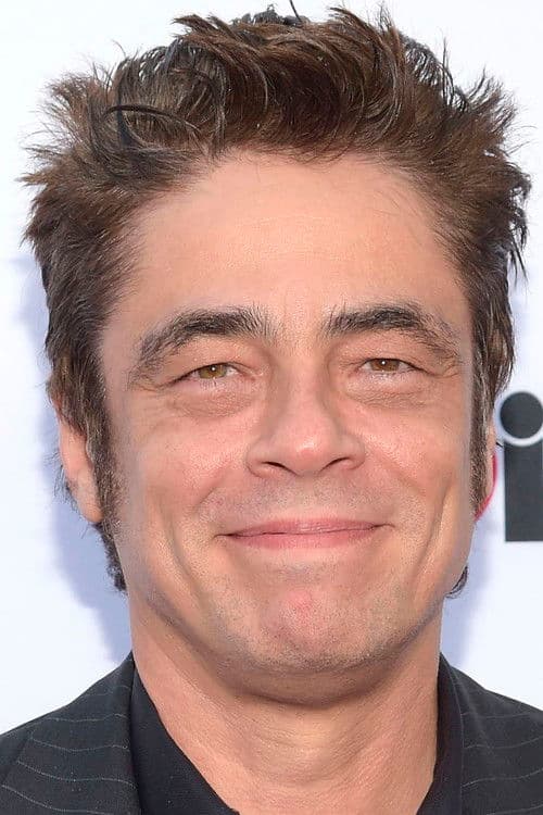 Benicio del Toro