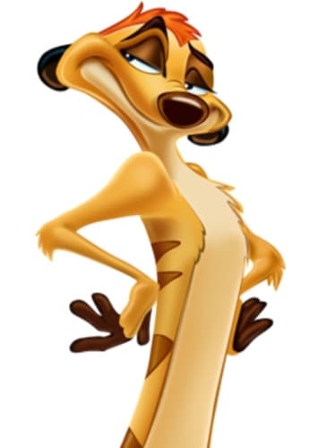 Timon