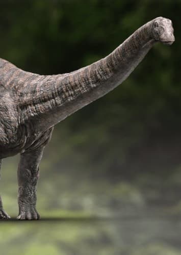 Apatosaurus