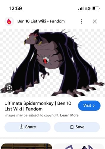 Albino spider monkey