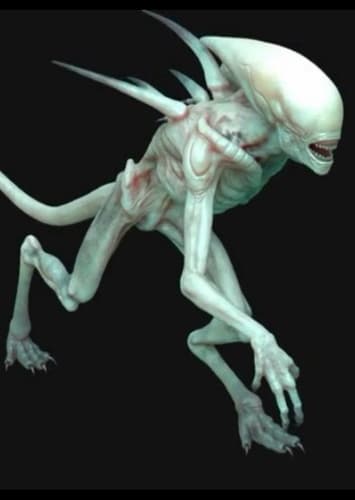 Alien Neomorph