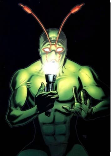 Ambush Bug