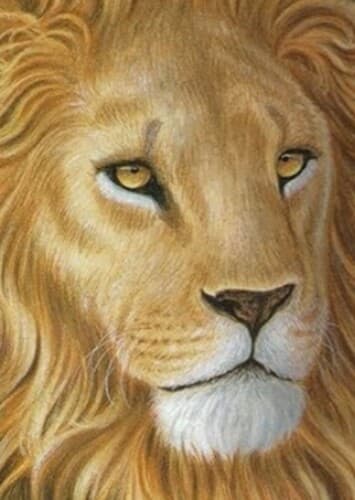 Aslan