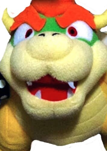 Bowser