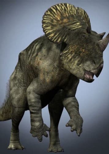 Brachyceratops