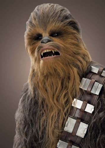 Chewbacca