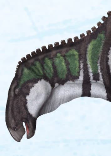 Claosaurus