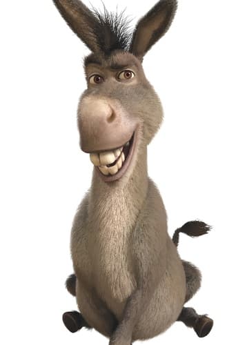 Donkey