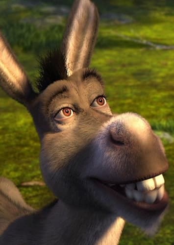 Donkey