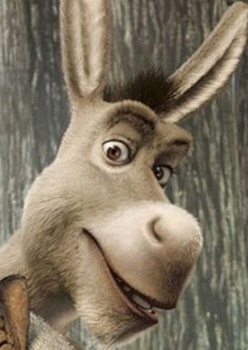 Donkey