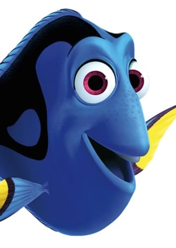 Dory