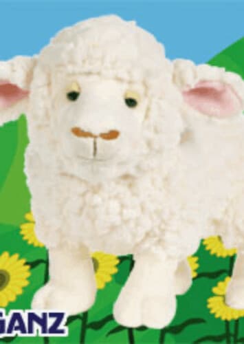 Fleecy Sheep