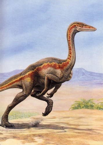 Gallimimus