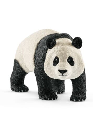 Giant Panda