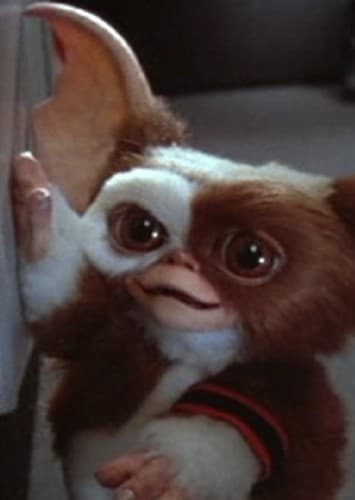 Gizmo