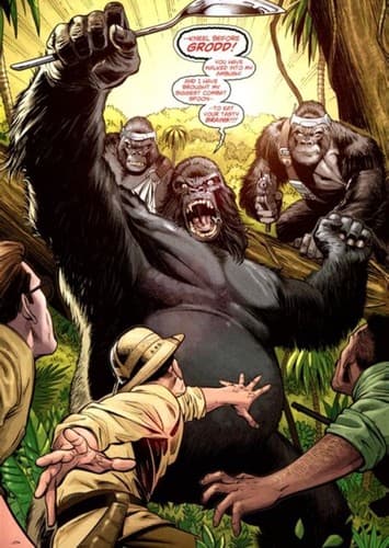 Grodd