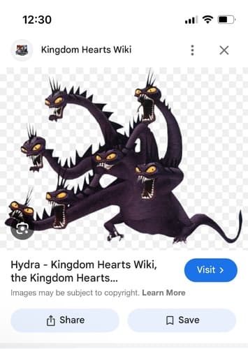 Hydra