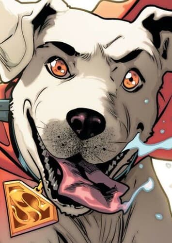 Krypto