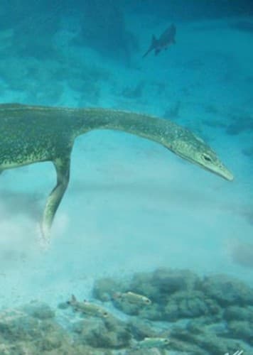 Lariosaurus
