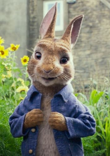 Peter Rabbit