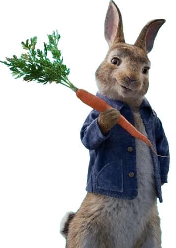 Peter Rabbit