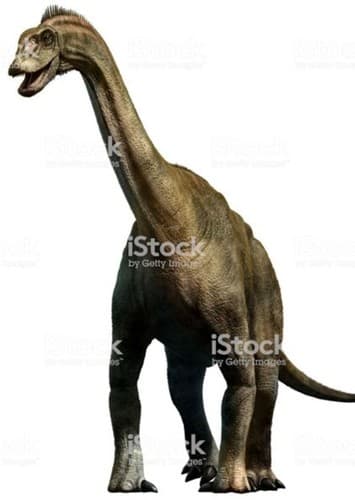 Shunosaurus