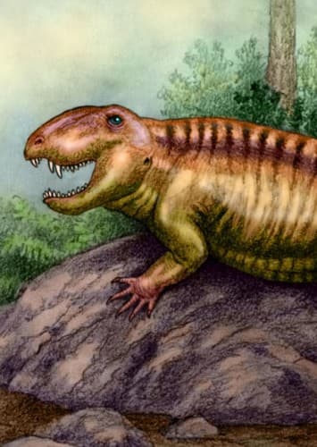 Sphenacodon