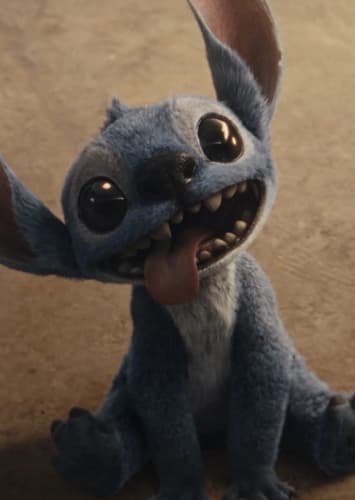 Stitch