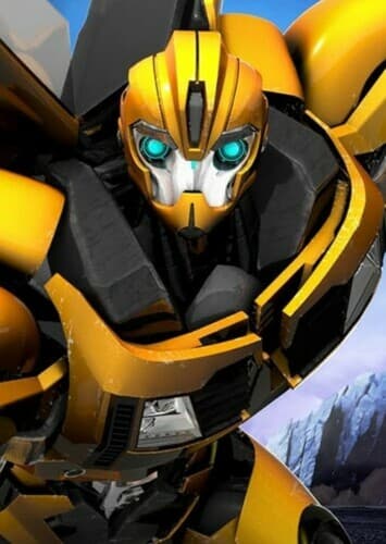 TFP bumblebee