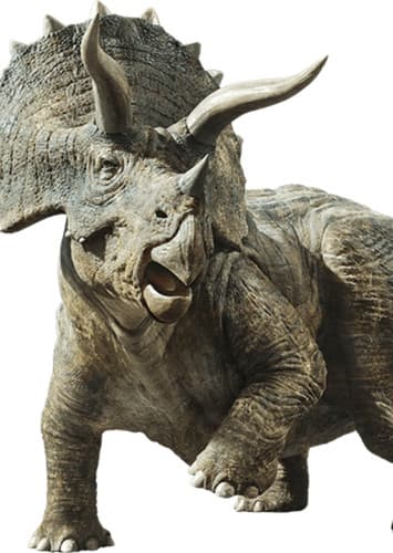 Triceratops