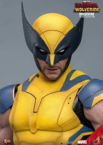 Wolverine
