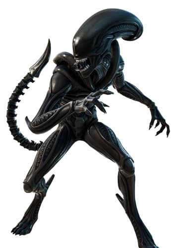 Xenomorph