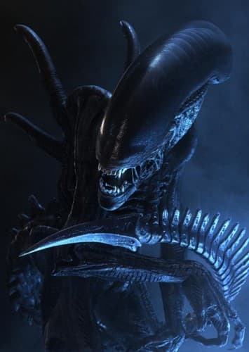 Xenomorphs