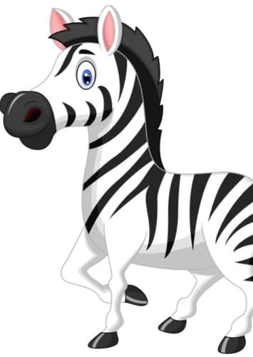 Zebra
