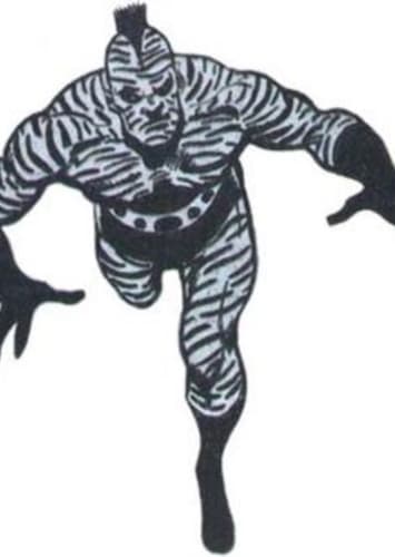 Zebra-Man