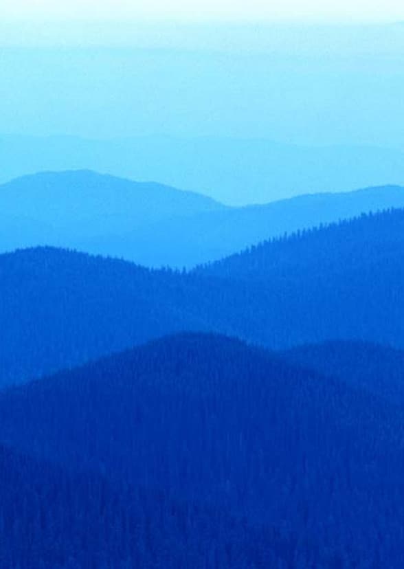 Saved By His Grace (a play and story)